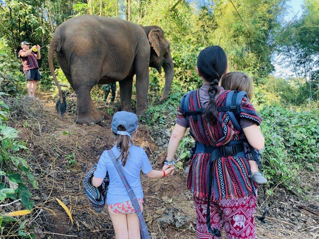 Elephant Sanctuary. Travel Experience. Thailand