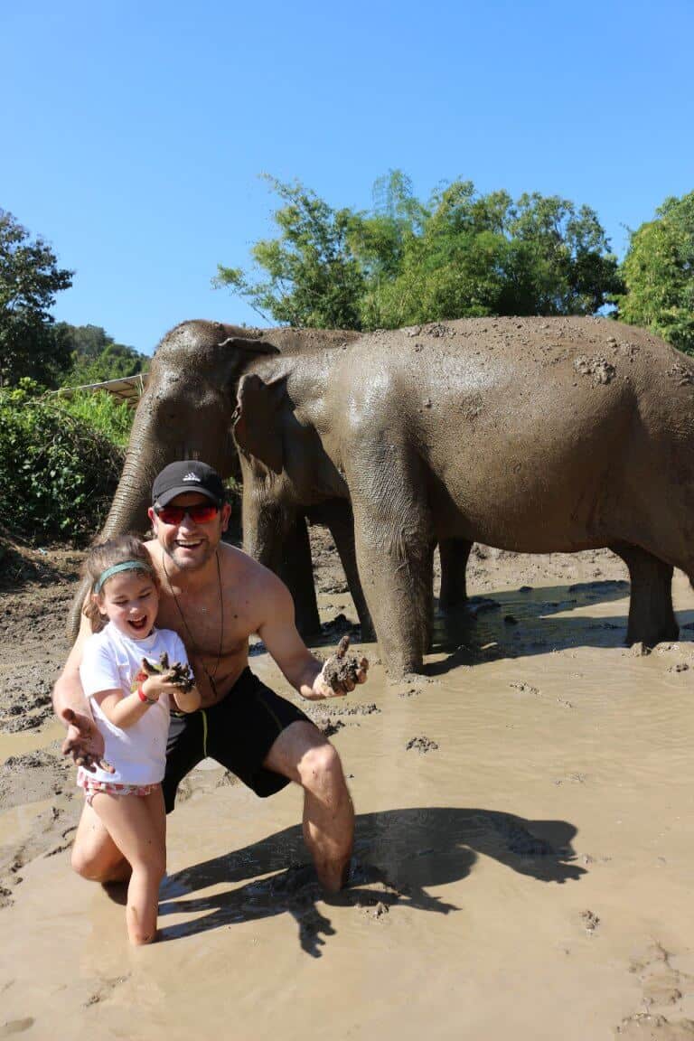 Elephants in Chiang Mai