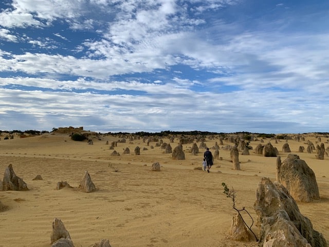 The Pinnacles Desert